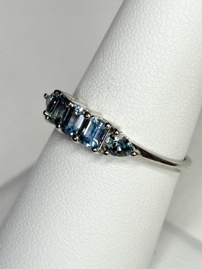 Untreated Montana Sapphire Band Ring 950 Platinum size 7