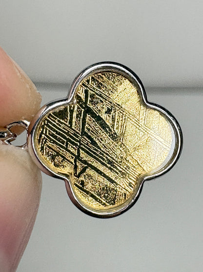 Genuine Gold Plated Meteorite Slice From Sweden in Sterling Silver with GF Chain 18"