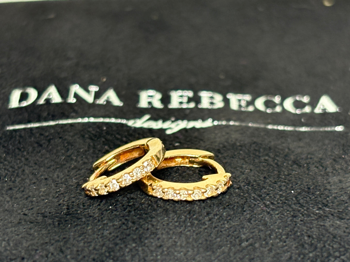 Dana Rebecca TINY Solid 14k Diamond Hoop Earrings