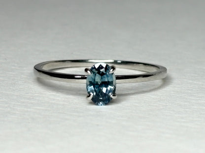 Untreated Montana Sapphire Dainty Ring 950 Platinum size 7