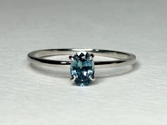 Untreated Montana Sapphire Dainty Ring 950 Platinum size 7