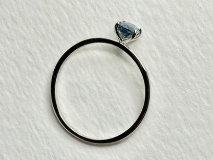 Untreated Montana Sapphire Dainty Ring 950 Platinum size 7
