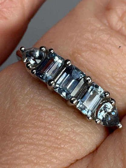 Untreated Montana Sapphire Band Ring 950 Platinum size 7
