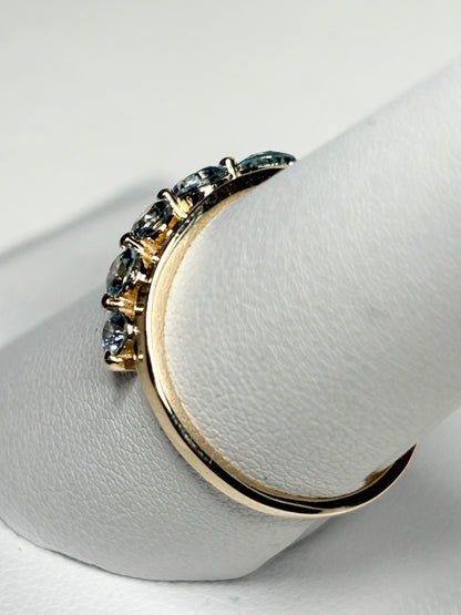 Untreated Montana Sapphire Ring 9k Gold size 8