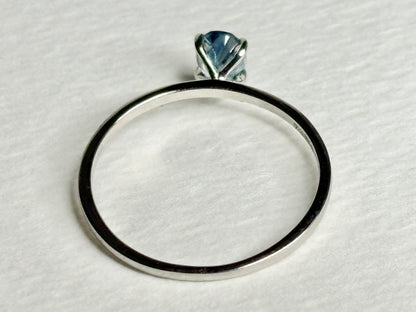 Untreated Montana Sapphire Dainty Ring 950 Platinum size 7
