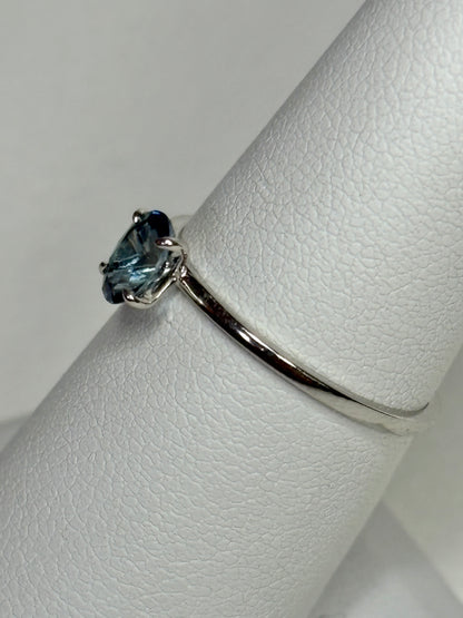 Untreated Montana Sapphire Dainty Ring 950 Platinum size 7