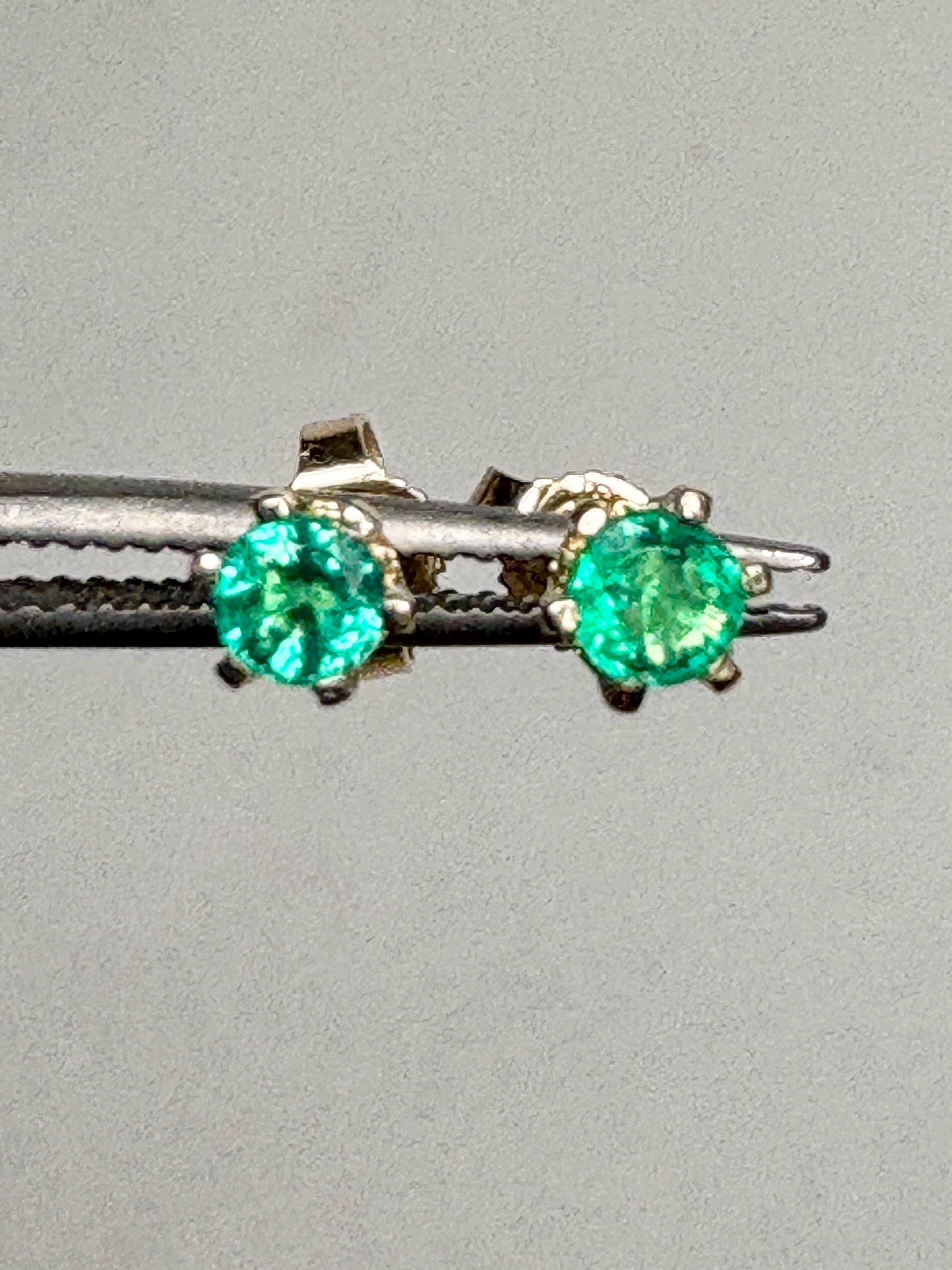 Natural Emerald Stud Earrings in 6 Prong 14k Gold .35ctw - NewLifeJewelryVault