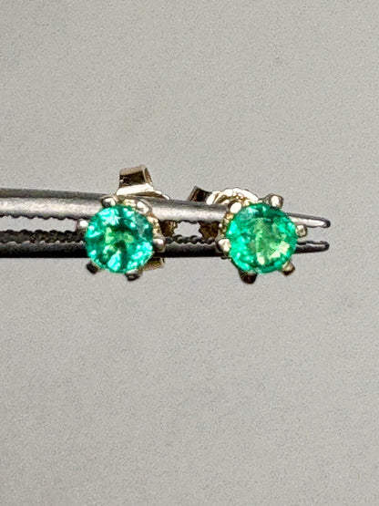 Natural Emerald Stud Earrings in 6 Prong 14k Gold .35ctw - NewLifeJewelryVault