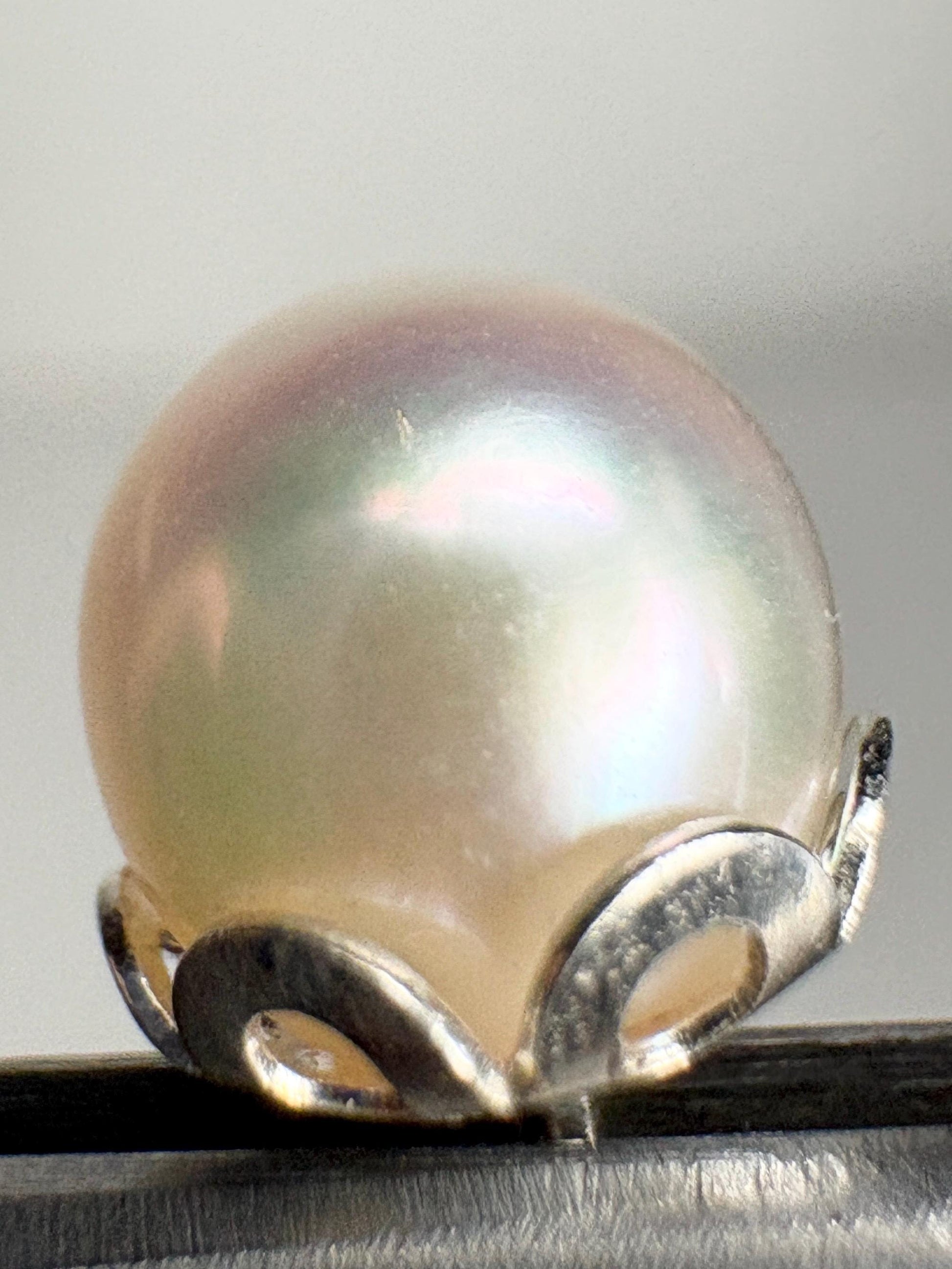 Akoya Cultured Pearl Stud Earrings 6.85mm - NewLifeJewelryVault