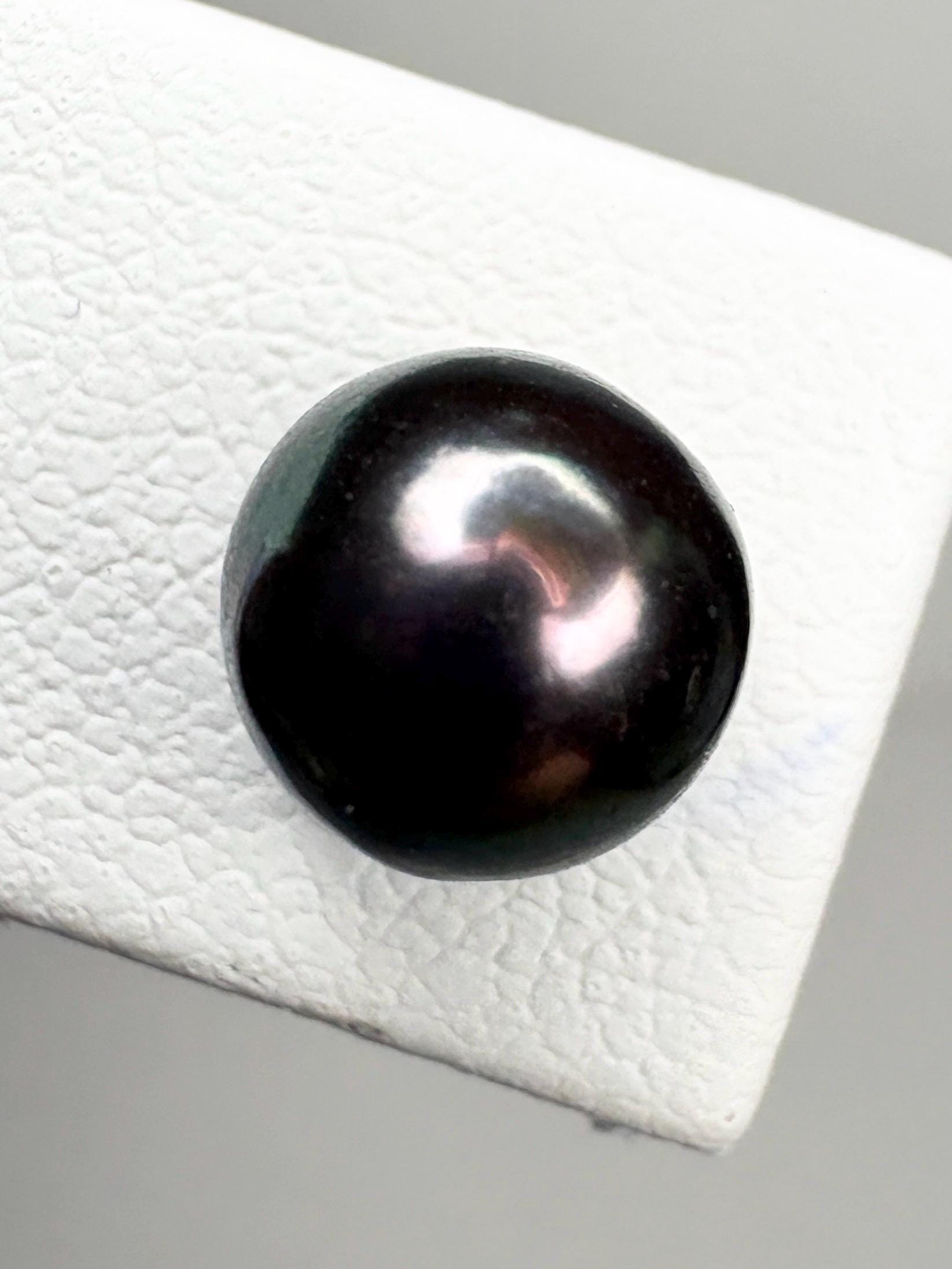 Black Akoya Cultured Pearl Stud Earrings 6.8mm - NewLifeJewelryVault