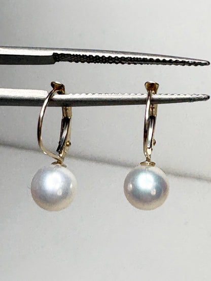 Japanese Akoya Cultured Pearl Lever back Dangle Drop Earrings in Solid 14k Gold 6.65mm - NewLifeJewelryVault