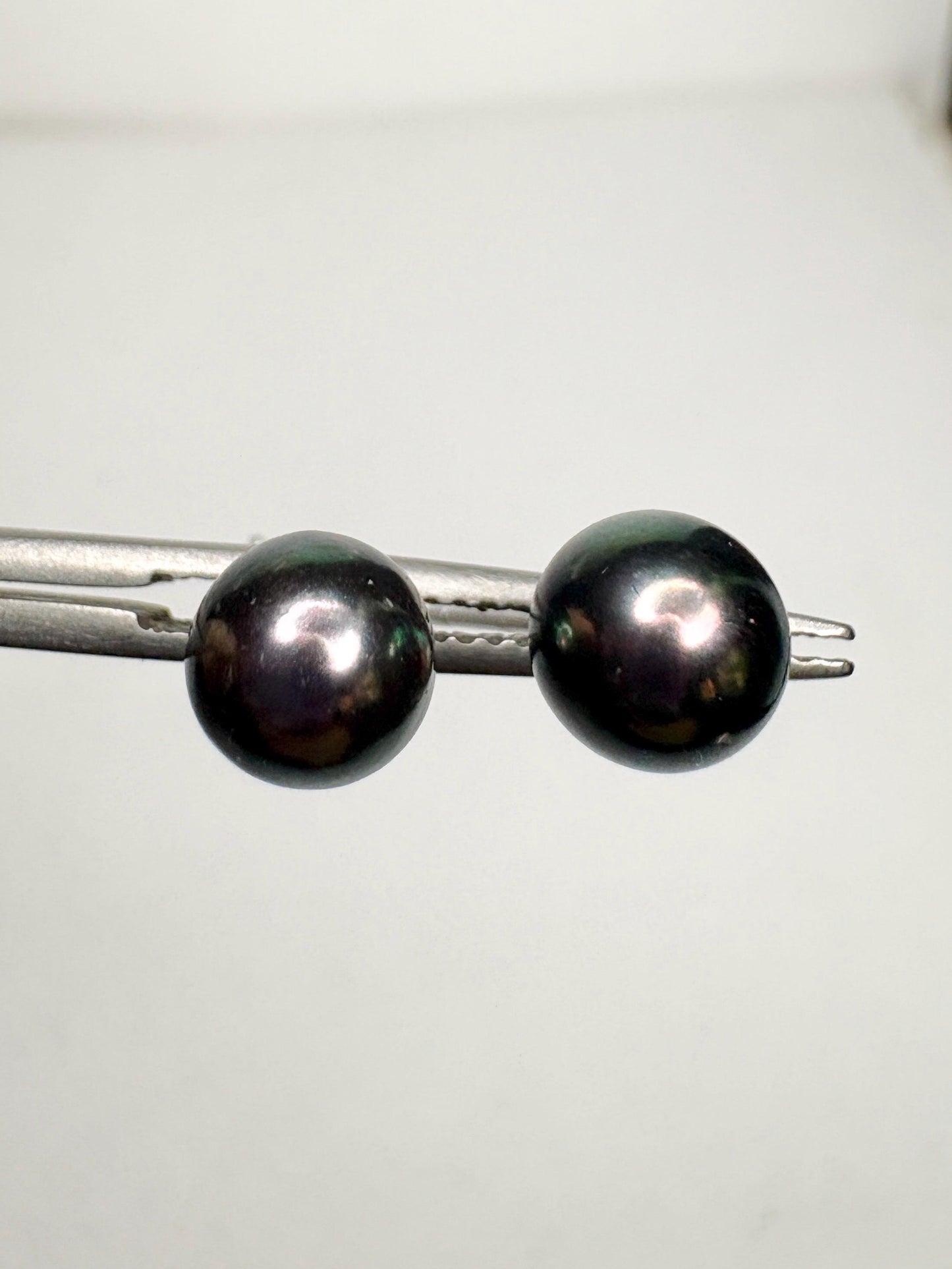 Black Akoya Cultured Pearl Stud Earrings 6.8mm - NewLifeJewelryVault