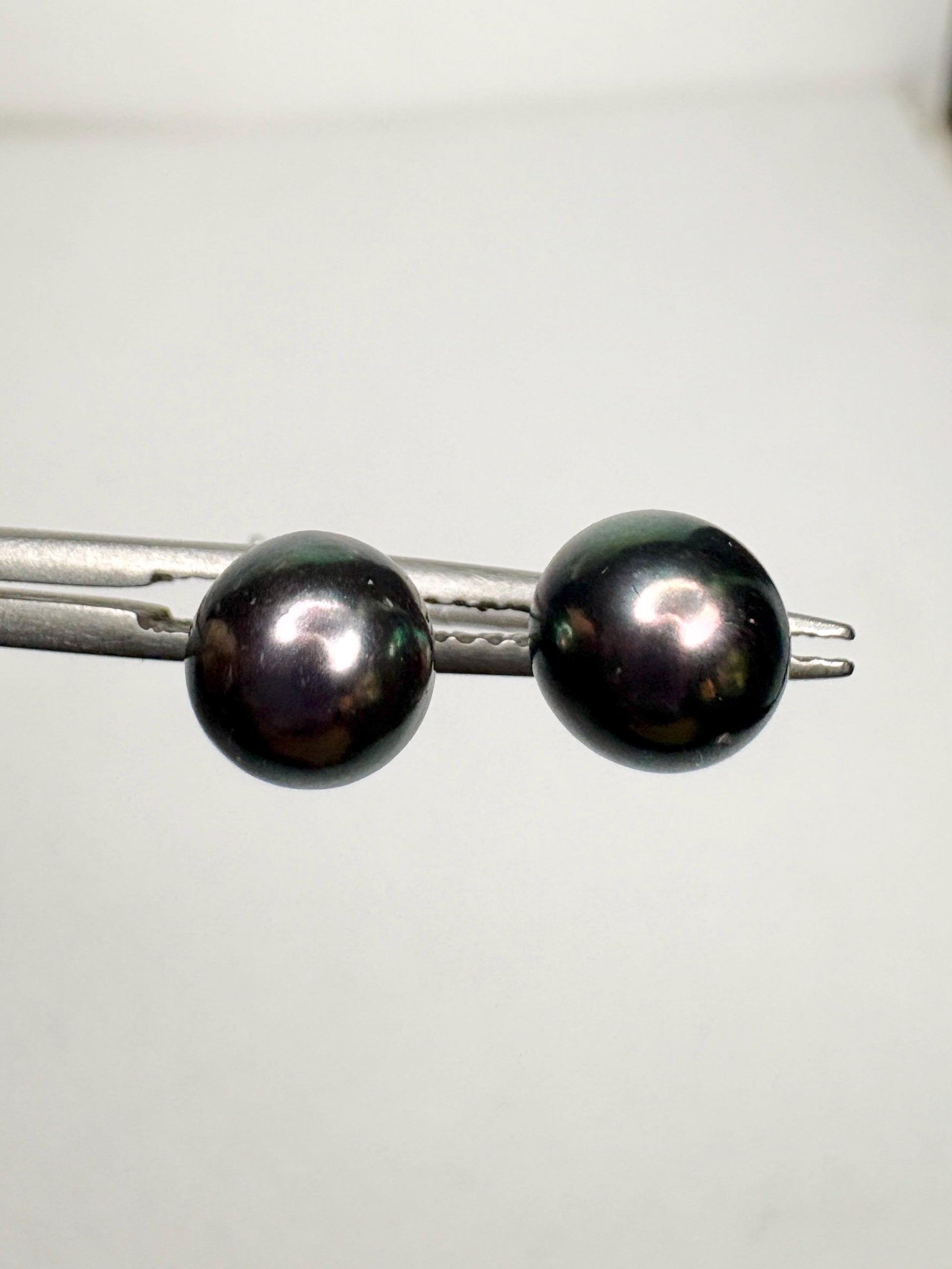 Black Akoya Cultured Pearl Stud Earrings 6.8mm - NewLifeJewelryVault