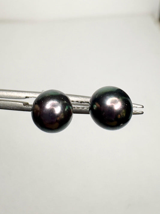 Black Akoya Cultured Pearl Stud Earrings 6.8mm - NewLifeJewelryVault