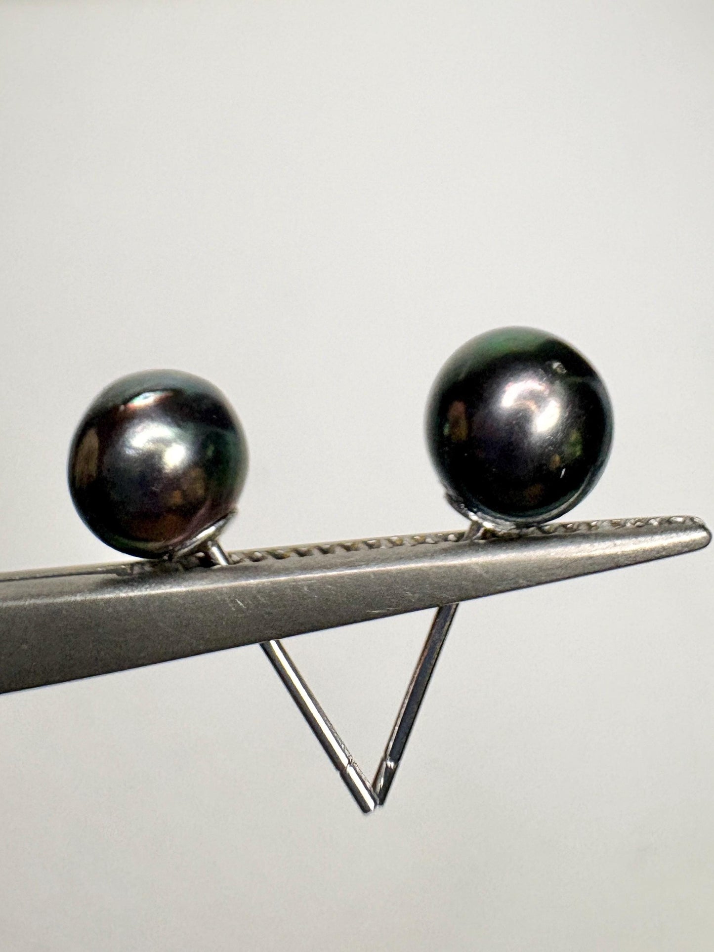Black Akoya Cultured Pearl Stud Earrings 6.8mm - NewLifeJewelryVault