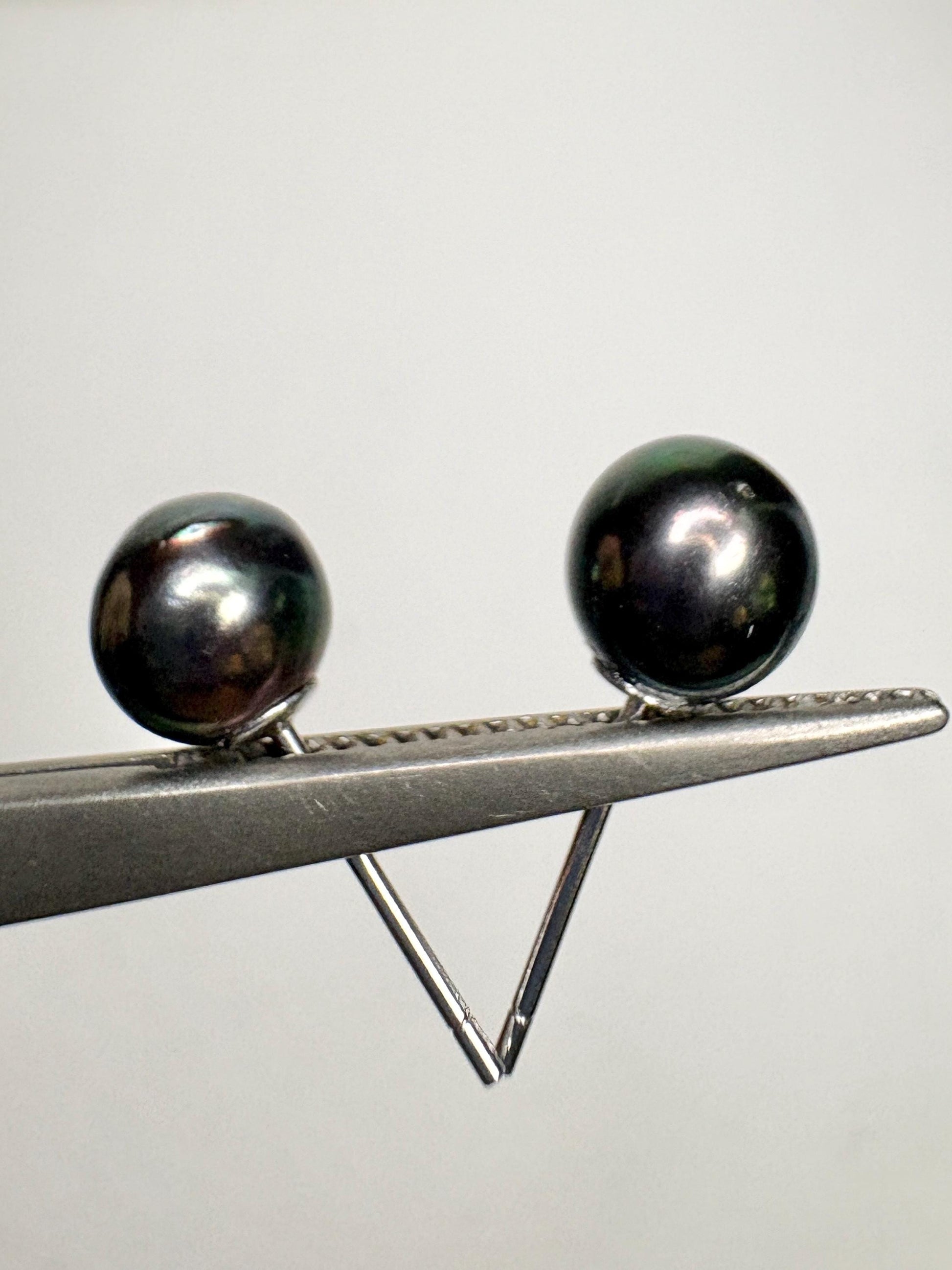 Black Akoya Cultured Pearl Stud Earrings 6.8mm - NewLifeJewelryVault