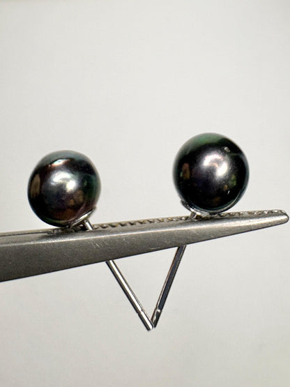 Black Akoya Cultured Pearl Stud Earrings 6.8mm - NewLifeJewelryVault