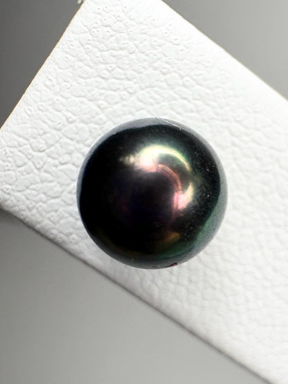 Black Akoya Cultured Pearl Stud Earrings 6.8mm - NewLifeJewelryVault