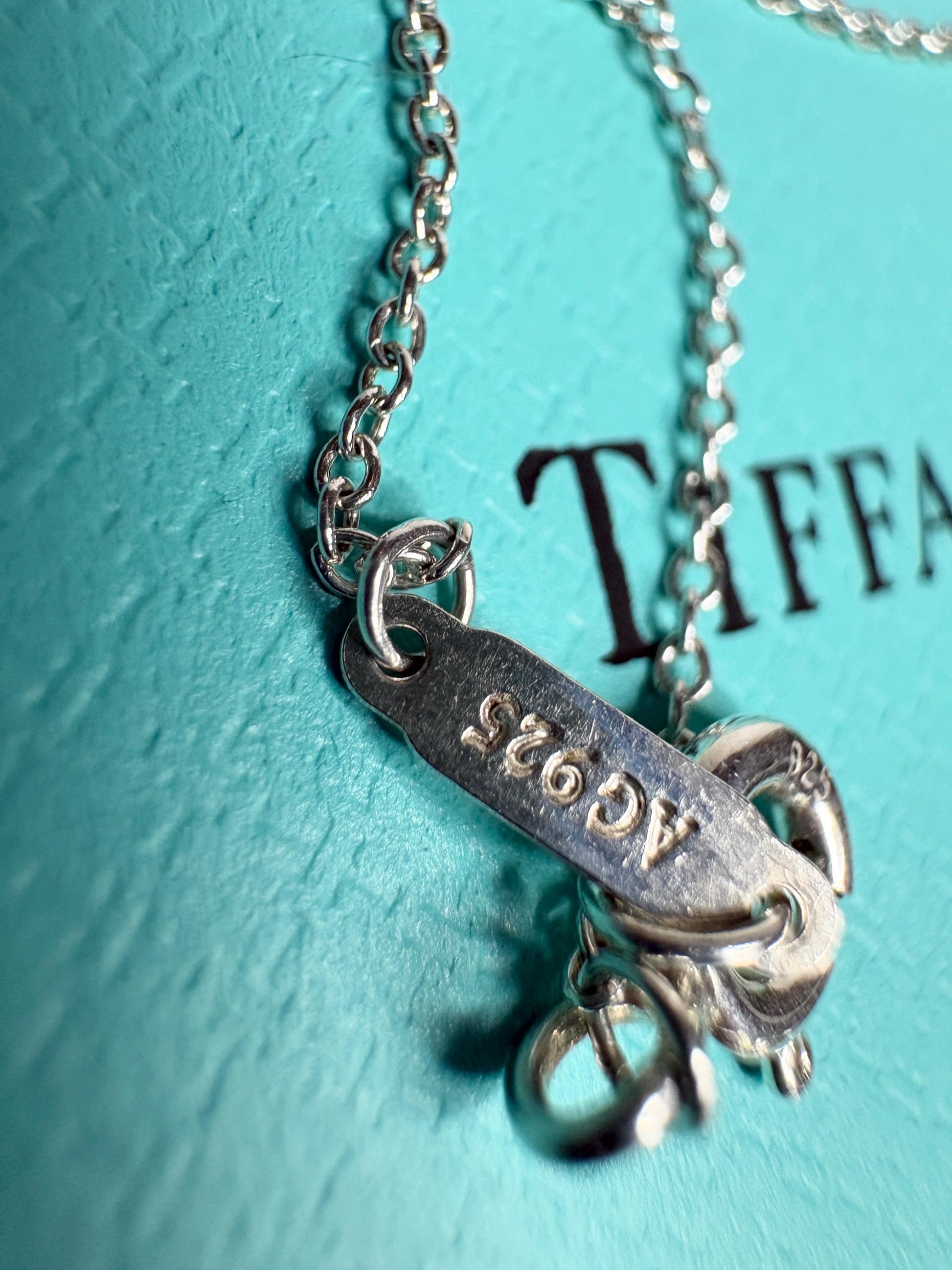 Tiffany & Co Blue Enameled Ladybug Charm Pendant Necklace Sterling Silver 19" with Box - NewLifeJewelryVault