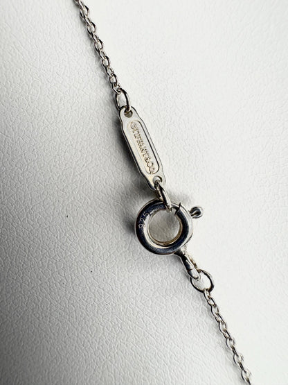 Tiffany & Co Blue Enameled Ladybug Charm Pendant Necklace Sterling Silver 19" with Box - NewLifeJewelryVault