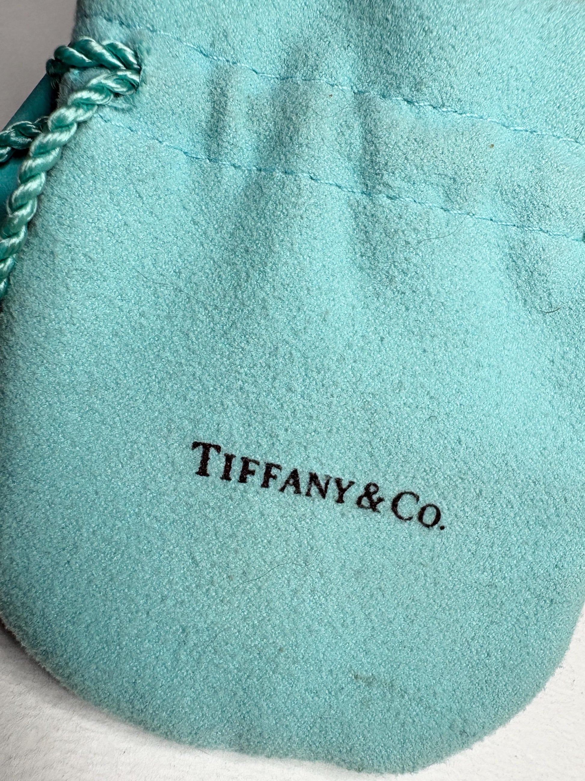 Tiffany & Co Blue Enameled Ladybug Charm Pendant Necklace Sterling Silver 19" with Box - NewLifeJewelryVault