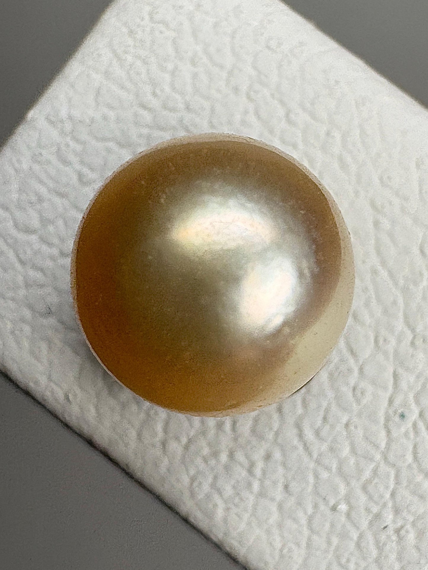 Cream Akoya Cultured Pearl 3/4 Stud Earrings in Sterling Silver 7mm - NewLifeJewelryVault
