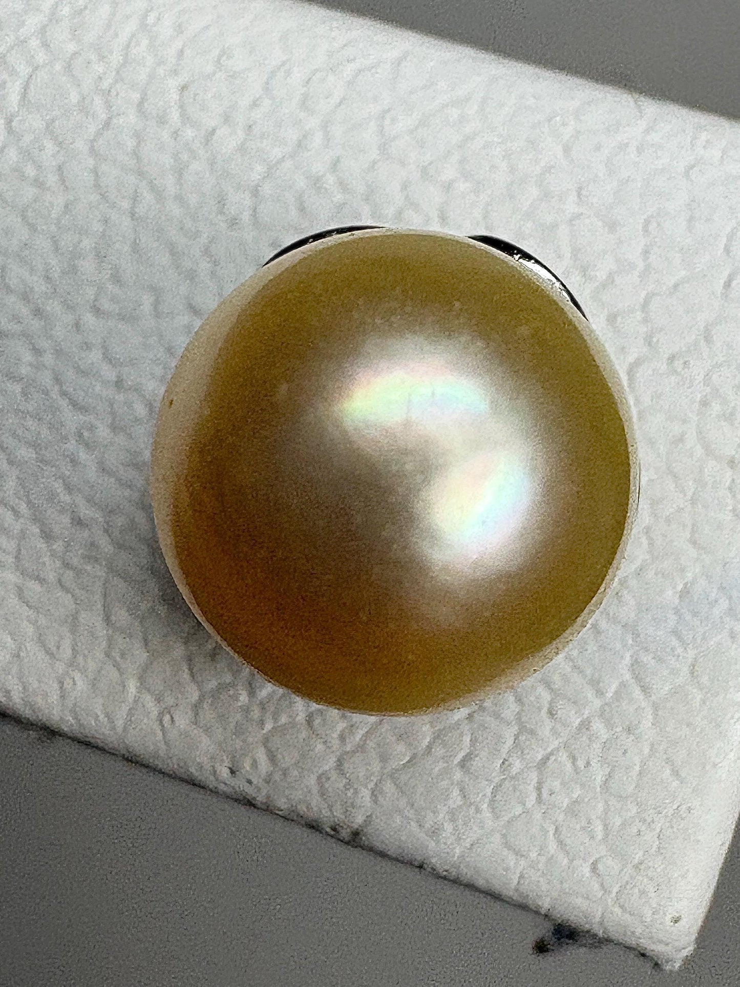 Cream Akoya Cultured Pearl 3/4 Stud Earrings in Sterling Silver 7mm - NewLifeJewelryVault