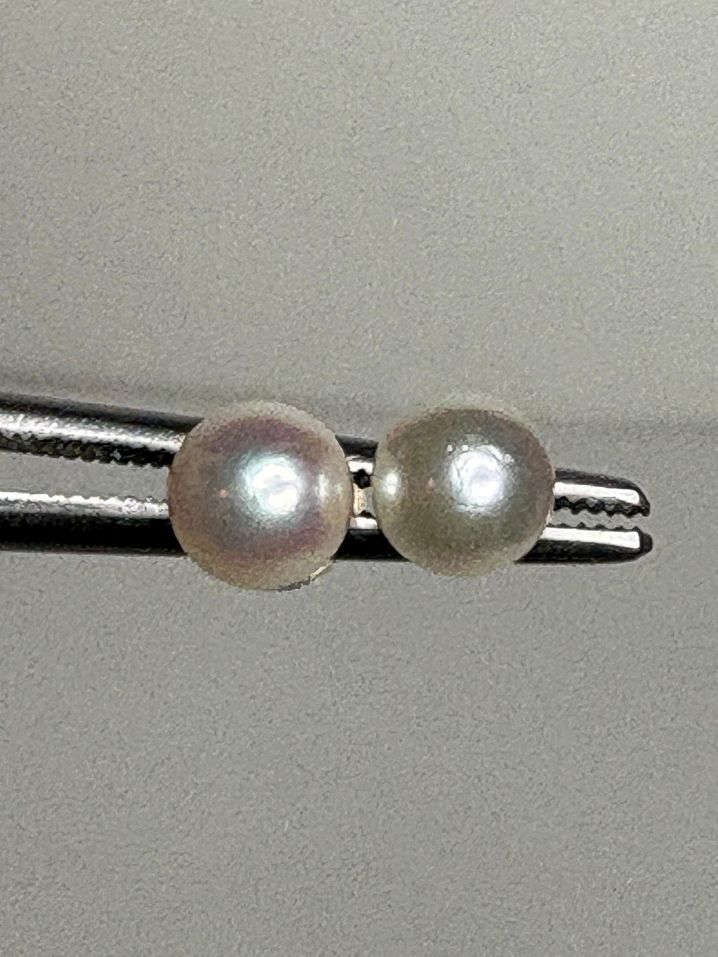 Akoya Cultured Pearl Stud Earrings in Sterling Silver 5.2mm - NewLifeJewelryVault