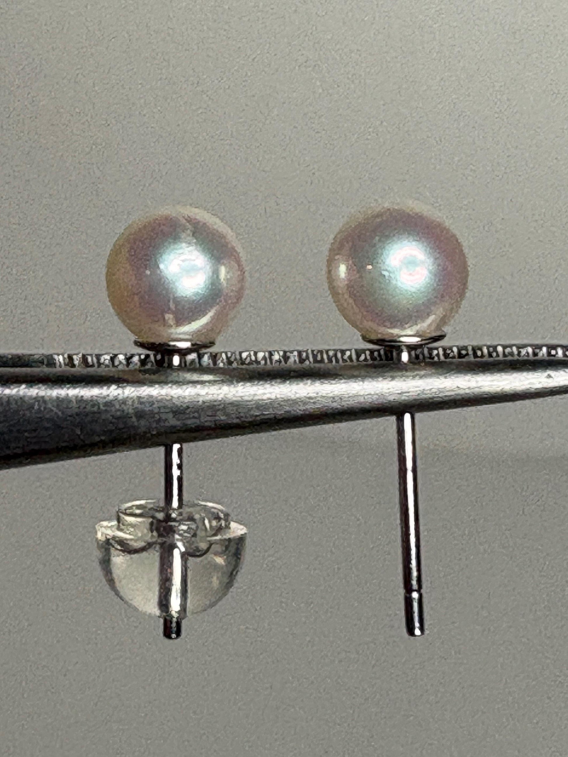 Akoya Cultured Pearl Stud Earrings in Sterling Silver 5.2mm - NewLifeJewelryVault