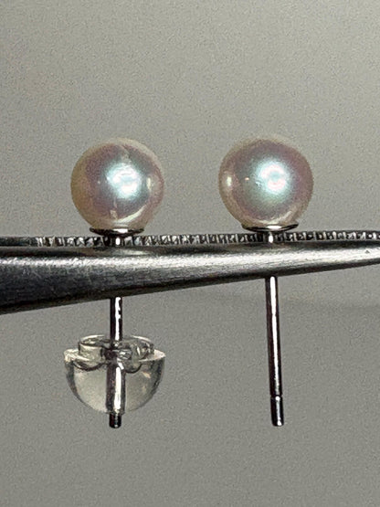 Akoya Cultured Pearl Stud Earrings in Sterling Silver 5.2mm - NewLifeJewelryVault