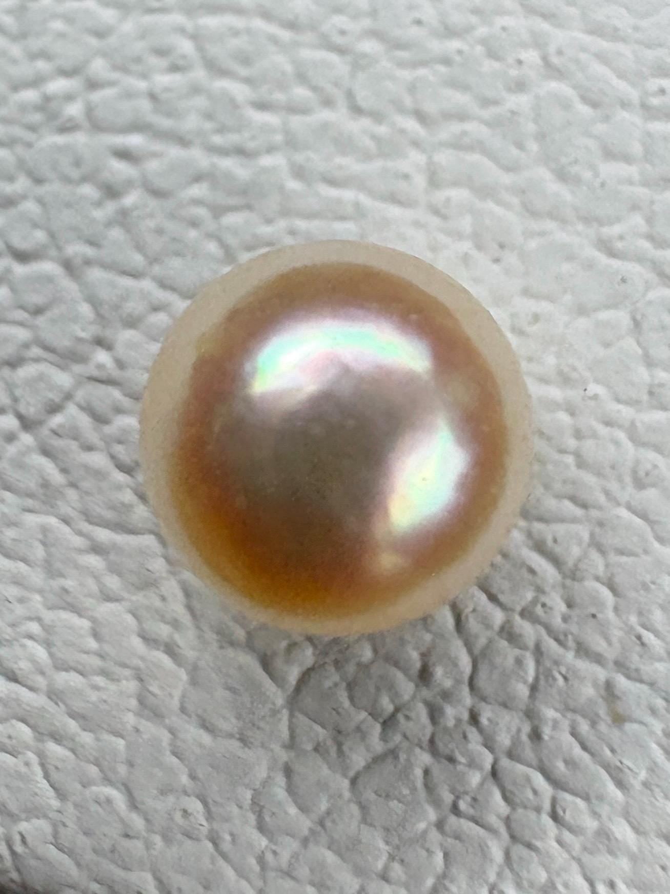 Cream Japanese Akoya Pearl Stud Earrings in 14k Gold 4.2mm - NewLifeJewelryVault