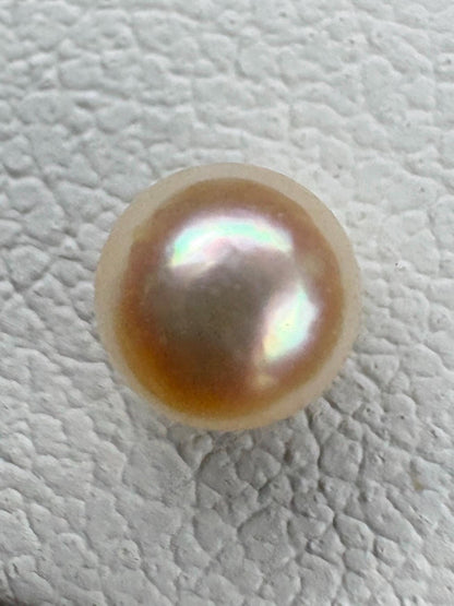Cream Japanese Akoya Pearl Stud Earrings in 14k Gold 4.2mm - NewLifeJewelryVault
