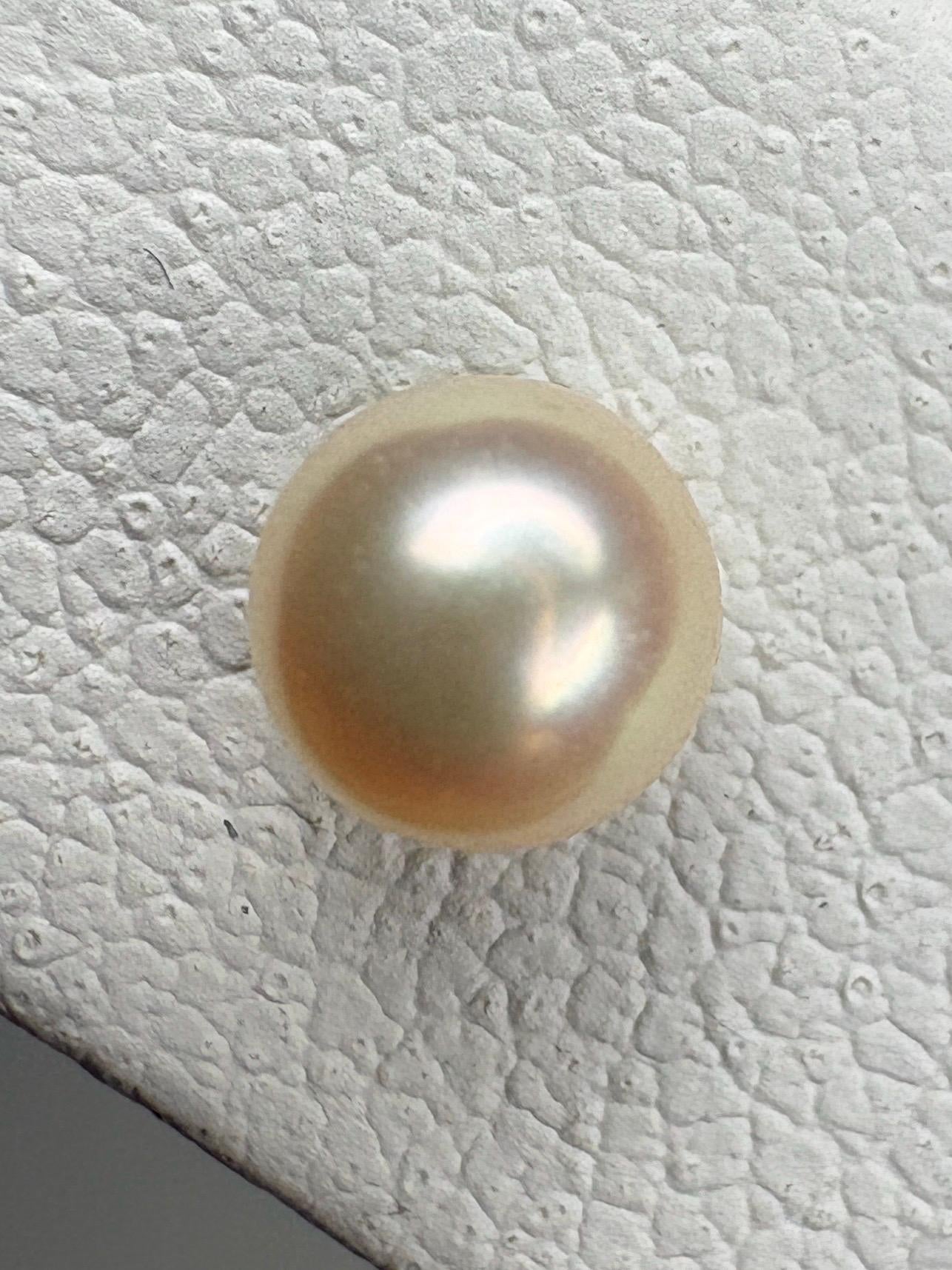 Cream Japanese Akoya Pearl Stud Earrings in 14k Gold 4.2mm - NewLifeJewelryVault