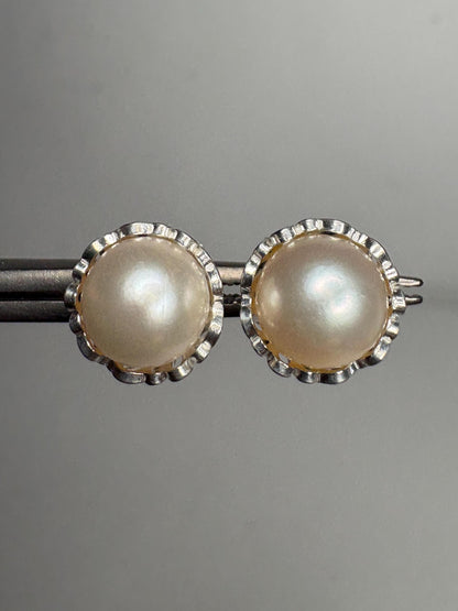 Cultured Akoya Pearl Stud Earrings in Lacy Sterling Silver 7.4mm - NewLifeJewelryVault