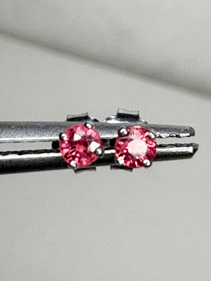 Padparadscha Colored Sapphire Stud Earrings in Solid 14k White Gold 2.75mm - NewLifeJewelryVault