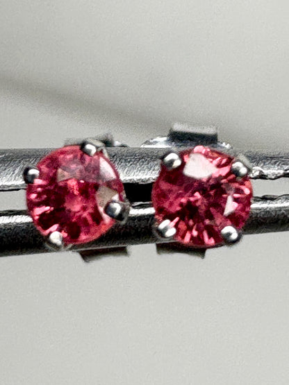 Padparadscha Colored Sapphire Stud Earrings in Solid 14k White Gold 2.75mm - NewLifeJewelryVault