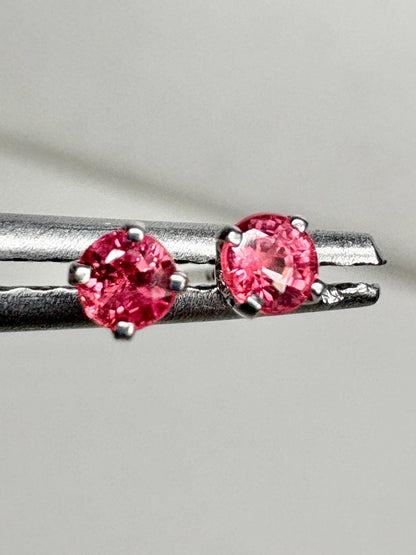 Padparadscha Colored Sapphire Stud Earrings in Solid 14k White Gold 2.75mm - NewLifeJewelryVault