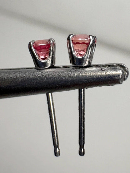 Padparadscha Colored Sapphire Stud Earrings in Solid 14k White Gold 2.75mm - NewLifeJewelryVault